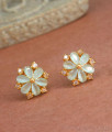 Elegant Gold Plated Stone Earring ER4208